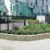IMG_20180804_143047
